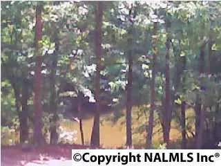 1441 Mohawk Cliff Rd, Ohatchee, AL 36271 photo 2