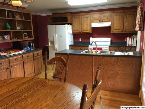 9330 County Road 419, Section, AL 35771 photo 1