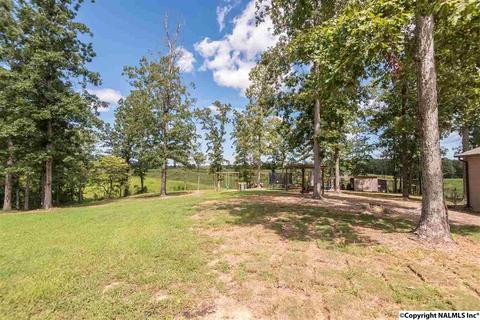 263 Gobble Dr, Florence, AL 35634 photo 8