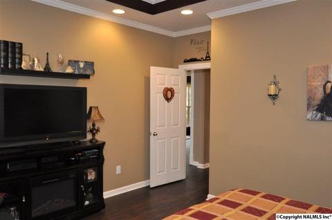 396 Forest Home Dr, Trinity, AL 35673 photo 18
