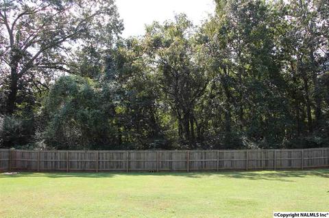 396 Forest Home Dr, Trinity, AL 35673 photo 34