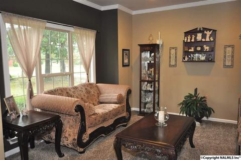 396 Forest Home Dr, Trinity, AL 35673 photo 5