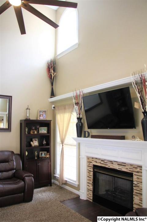 396 Forest Home Dr, Trinity, AL 35673 photo 10