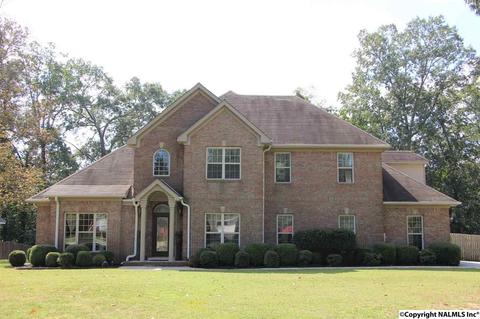 396 Forest Home Dr, Trinity, AL 35673 photo 1