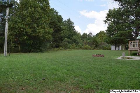 151 County Road 121, Section, AL 35771 photo 24