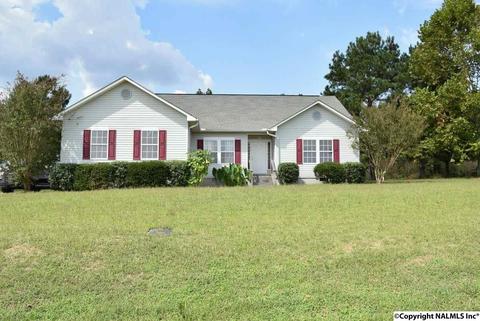 151 County Road 121, Section, AL 35771 photo 1