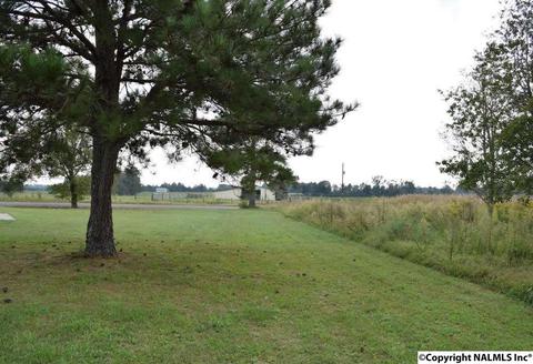 151 County Road 121, Section, AL 35771 photo 25