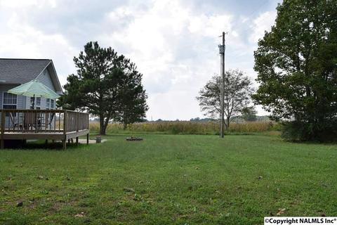 151 County Road 121, Section, AL 35771 photo 26