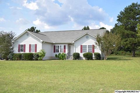 151 County Road 121, Section, AL 35771 photo 3