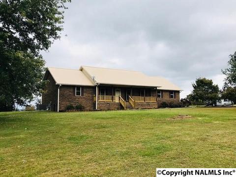1905 Simpson Point Rd, Grant, AL 35747 photo 2