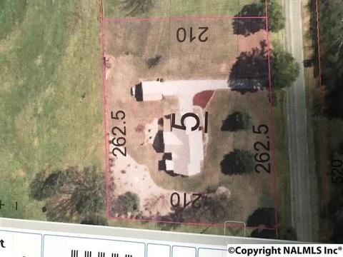 1905 Simpson Point Rd, Grant, AL 35747 photo 50