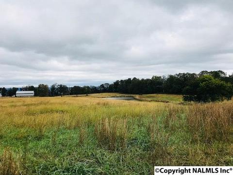 1905 Simpson Point Rd, Grant, AL 35747 photo 7