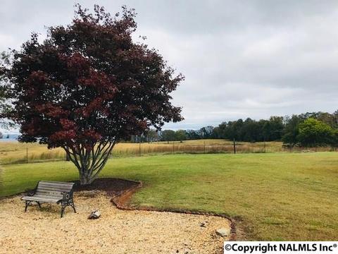 1905 Simpson Point Rd, Grant, AL 35747 photo 10