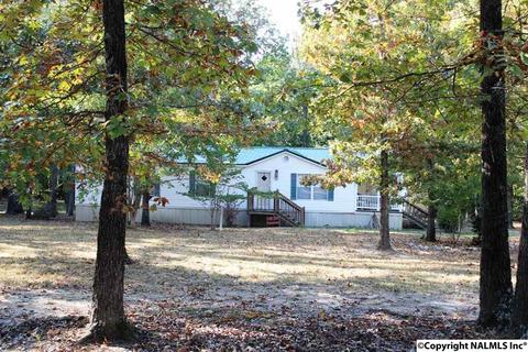45 County Road 901, Cedar Bluff, AL 35959 photo 1