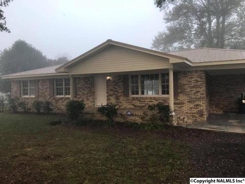 91 Lisa Ln, Arab, AL 35016 photo 1