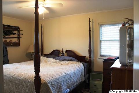 14 Pineview Ct, Centre, AL 35960 photo 8
