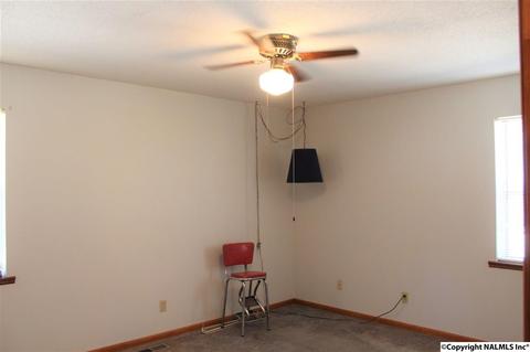 3159 County Road 19, Dutton, AL 35744 photo 23