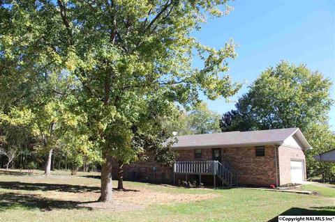 3159 County Road 19, Dutton, AL 35744 photo 4