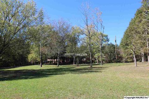 3159 County Road 19, Dutton, AL 35744 photo 34
