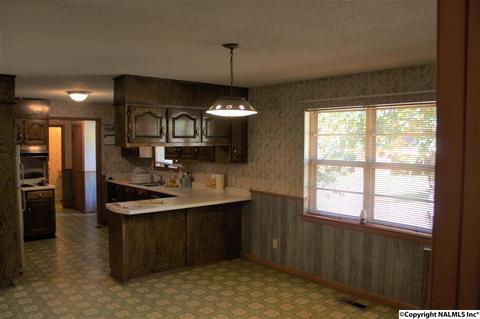 3159 County Road 19, Dutton, AL 35744 photo 15