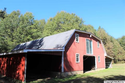3159 County Road 19, Dutton, AL 35744 photo 33