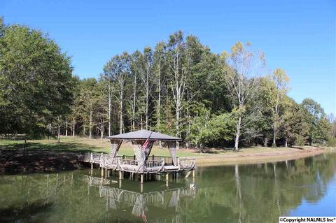 3159 County Road 19, Dutton, AL 35744 photo 44