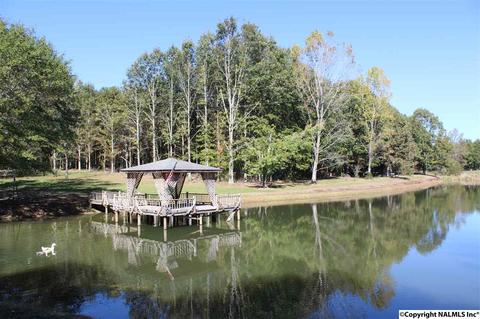 3159 County Road 19, Dutton, AL 35744 photo 7