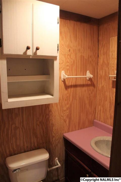 3159 County Road 19, Dutton, AL 35744 photo 41