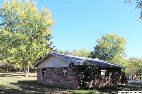 3159 County Road 19, Dutton, AL 35744 photo 5