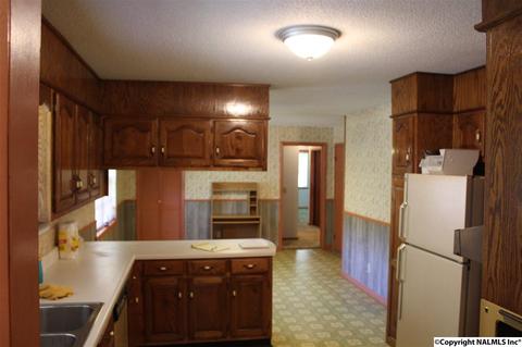 3159 County Road 19, Dutton, AL 35744 photo 13