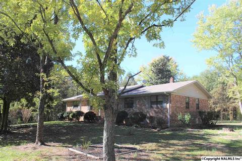 3159 County Road 19, Dutton, AL 35744 photo 6