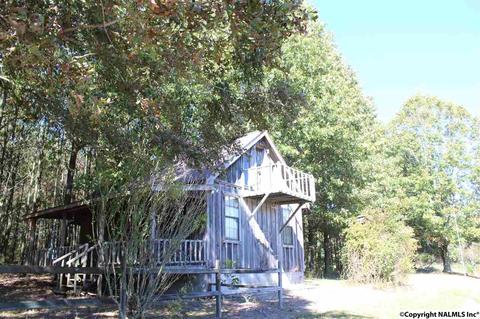 3159 County Road 19, Dutton, AL 35744 photo 35