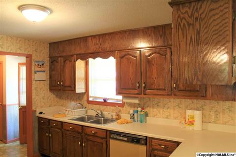 3159 County Road 19, Dutton, AL 35744 photo 11