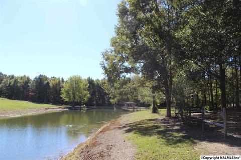 3159 County Road 19, Dutton, AL 35744 photo 43