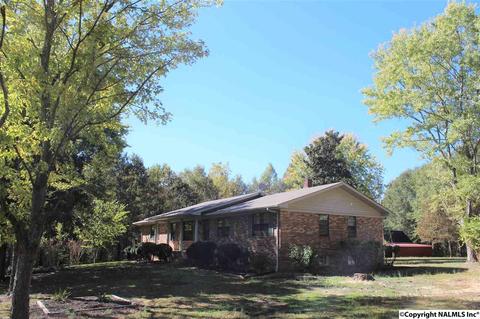 3159 County Road 19, Dutton, AL 35744 photo 1