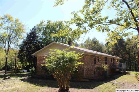 3159 County Road 19, Dutton, AL 35744 photo 2