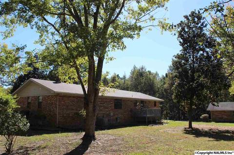 3159 County Road 19, Dutton, AL 35744 photo 3