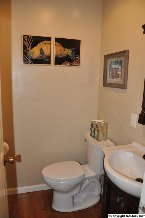 149 Harbor Rd, Arab, AL 35016 photo 9