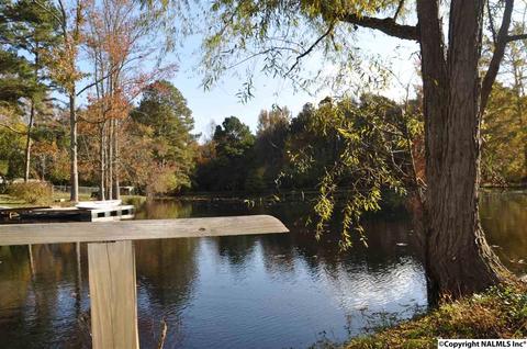 149 Harbor Rd, Arab, AL 35016 photo 43
