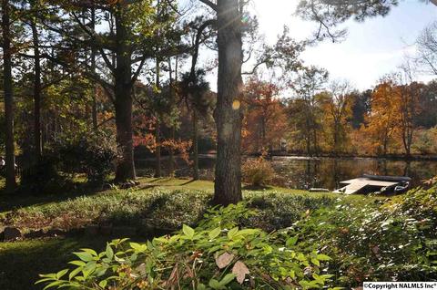 149 Harbor Rd, Arab, AL 35016 photo 33