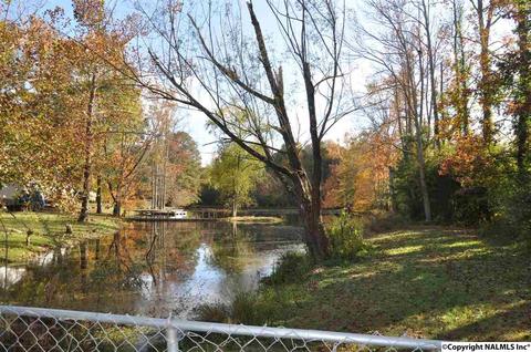 149 Harbor Rd, Arab, AL 35016 photo 41