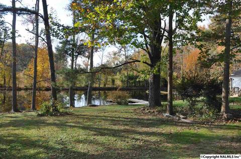 149 Harbor Rd, Arab, AL 35016 photo 46