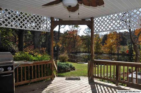 149 Harbor Rd, Arab, AL 35016 photo 30