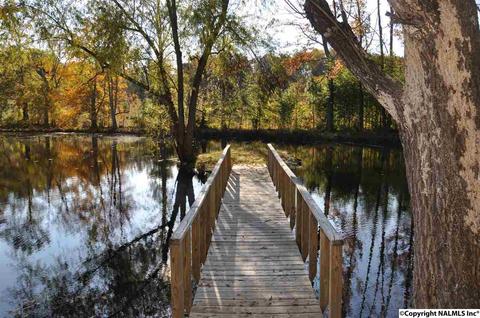 149 Harbor Rd, Arab, AL 35016 photo 42