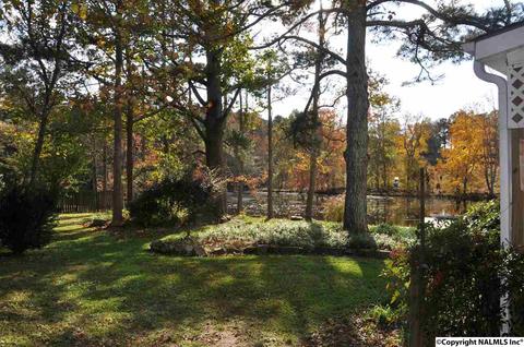 149 Harbor Rd, Arab, AL 35016 photo 45