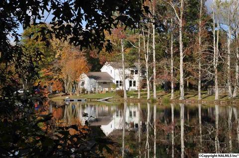 149 Harbor Rd, Arab, AL 35016 photo 40