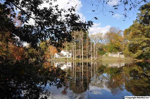 149 Harbor Rd, Arab, AL 35016 photo 48