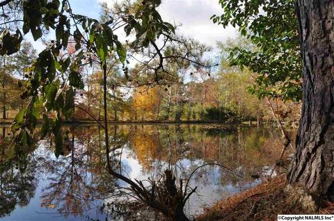 149 Harbor Rd, Arab, AL 35016 photo 44
