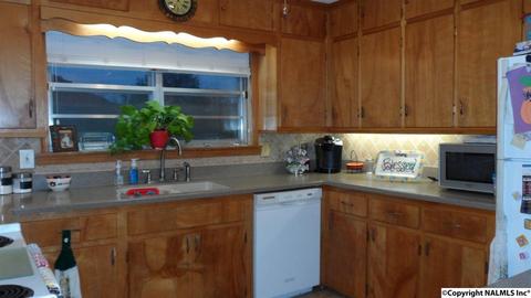 504 E 4th Ave, Glencoe, AL 35905 photo 16