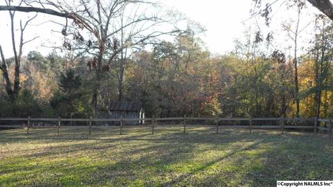 504 E 4th Ave, Glencoe, AL 35905 photo 37